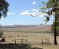 Groenfontein Guest Farm