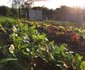 Bramleigh Farm
