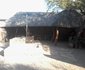 Rinkhalskop Safari Lodge