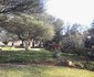 Rinkhalskop Safari Lodge