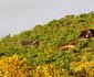 Moonriver Mountain Retreat
