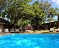 Wild Dogs Safari Lodge