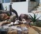 Birds on a Rock BnB
