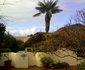 Palm Tree Cottage