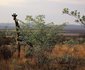Shakati Private Game Reserve