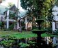 3 Night Honeymoon St Lucia Eco Lodge Package