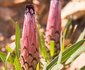 Baviaanskloof Exclusive Getaway