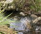 Baviaanskloof Exclusive Getaway