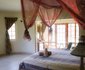 Lazy Lion Lodge