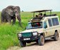 10 days Affordable Serengeti Migration & Beach Zanzibar Package