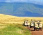 10 days Affordable Serengeti Migration & Beach Zanzibar Package