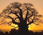 10 days Affordable Serengeti Migration & Beach Zanzibar Package