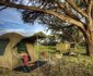 Safari Life Africa