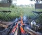 Safari Life Africa