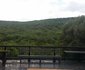 Khululeka Bushveld Guest Farm