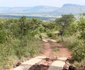 Syringa Sands Mountain Cottage