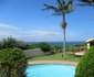 Dolphin View