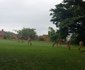 San Lameer