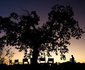 Mchenja Luxury Bush Camp