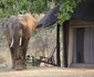 Mchenja Luxury Bush Camp