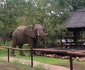 Tsakane Safari Camp