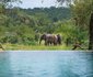 Toro Yaka Bush Lodge