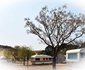 Kloofeind Caravan Lodge