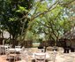 Wild Dogs Safari Lodge
