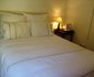 The Trend Guesthouse - Queenstown