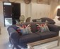Palmetta Cottage