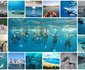 Ponta do Ouro Accommodation – Mozambique