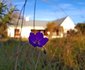 68 on Vlei