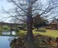 River's Edge in Sabie