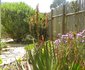 Aloe Cottage