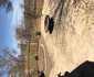 Impala Lodge
