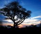 Mosetlha Bush Camp & Eco Lodge