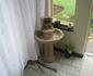 Dibelzo's Bed and Breakfast