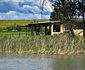 Shiriba Farm