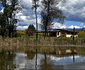 Shiriba Farm