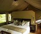 Royal Tree Lodge