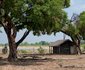 Wilderness Safaris Davison's Camp