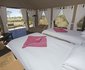 Wilderness Safaris Davison's Camp