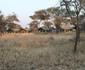 Serengeti Kati Kati Tented Camp