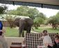 Marula Lodge