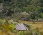Sable Valley Treehouses
