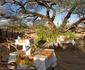 Tindiga Tented Camp