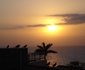 Albatros Guest House