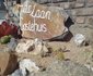 7de Laan Guest House