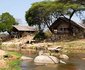 Ruaha River Lodge