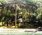 Banana Island Guest House